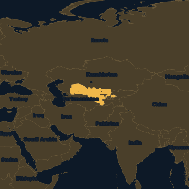 Uzbekistan location map